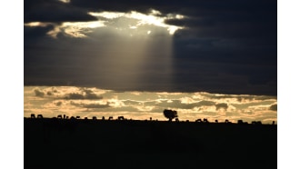 narok-sightseeing