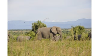 kampala-sightseeing