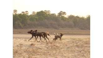 southluangwanationalpark-sightseeing