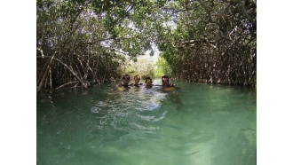 playadelcarmen-sightseeing