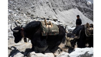 everestbasecamp-south-sightseeing