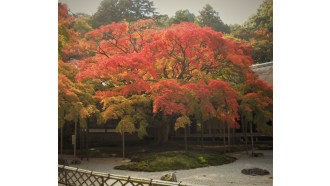 fukuoka-sightseeing