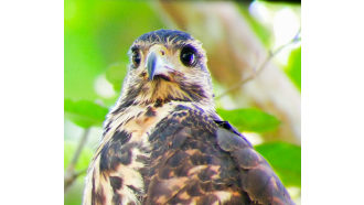 quepos-sightseeing