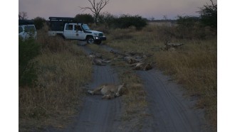 maun-sightseeing