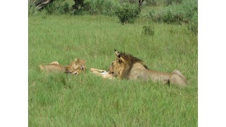 maun-sightseeing