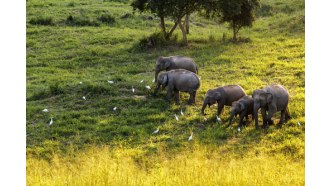 chiangmai-sightseeing