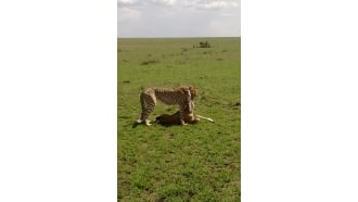 nairobinationalpark-sightseeing