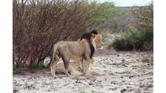 gaborone-sightseeing