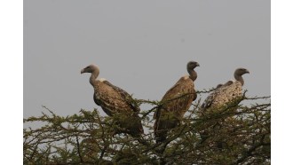 arusha-sightseeing