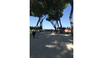 rome-sightseeing