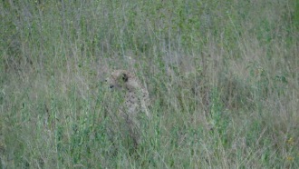 arusha-sightseeing