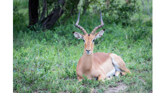 balulegamereserve-sightseeing