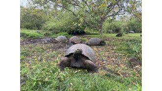 galapagosislands-sightseeing