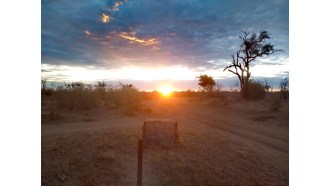 maun-sightseeing