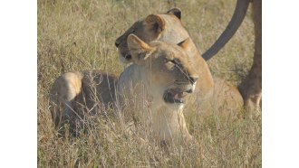 nairobi-sightseeing