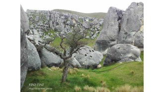 christchurch-sightseeing