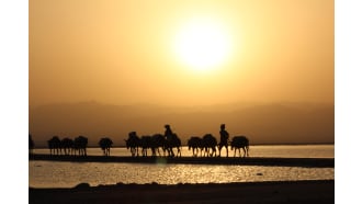 mekele-sightseeing