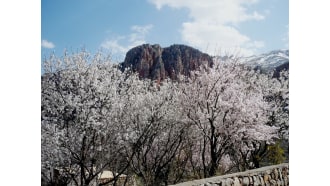 yerevan-sightseeing