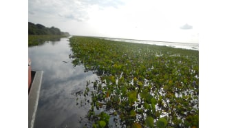 margaritaisland-sightseeing