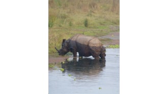 kathmandu-sightseeing