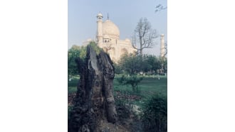 mathura-sightseeing