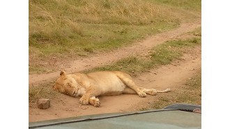 nairobi-sightseeing