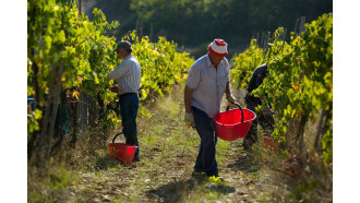 chianti-sightseeing