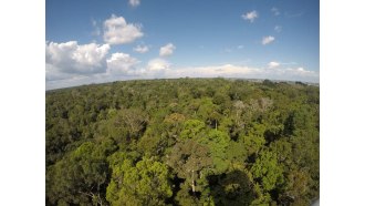 manaus-sightseeing