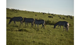 narok-sightseeing