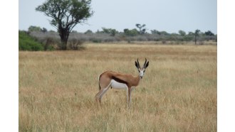 gaborone-sightseeing