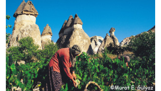 cappadocia-sightseeing