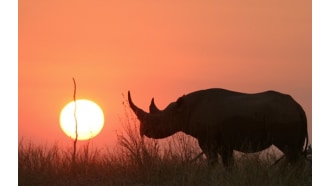 lusaka-sightseeing