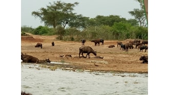 kampala-sightseeing