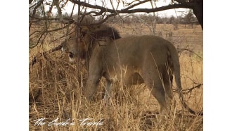 arusha-sightseeing