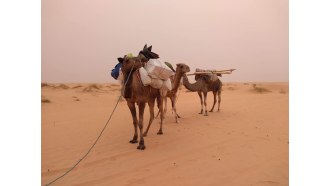 nouakchott-sightseeing