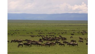 arusha-sightseeing