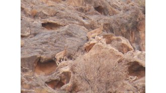 yazd-sightseeing