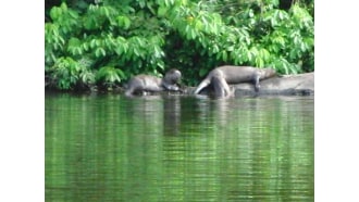 tambopatanationalreserve-sightseeing