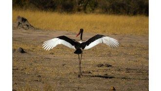 gaborone-sightseeing