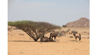 luanda-sightseeing