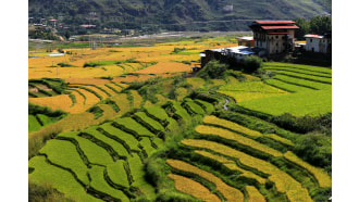 thimphu-sightseeing