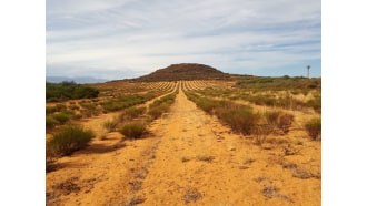 capetown-sightseeing