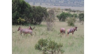 nairobi-sightseeing