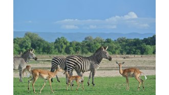 southluangwanationalpark-sightseeing