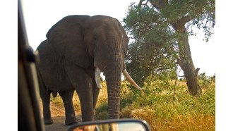 krugernationalpark-sightseeing