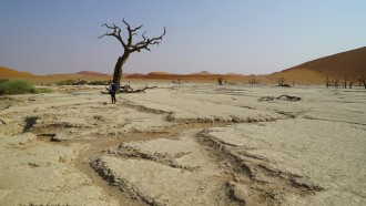 walvisbay-sightseeing