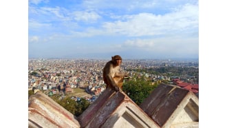 kathmandu-sightseeing