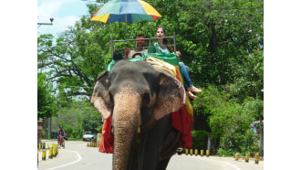 colombo-sightseeing