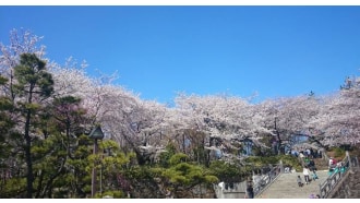 tokyo-sightseeing