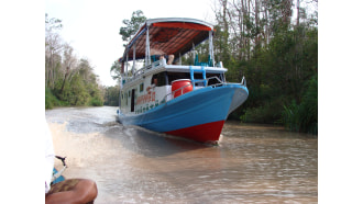 tanjungputingnationalpark-sightseeing